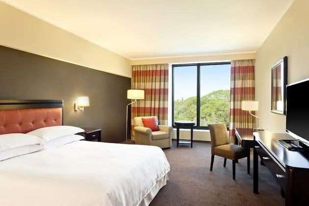 Club Oda, 1 En Büyük (King) Boy Yatak