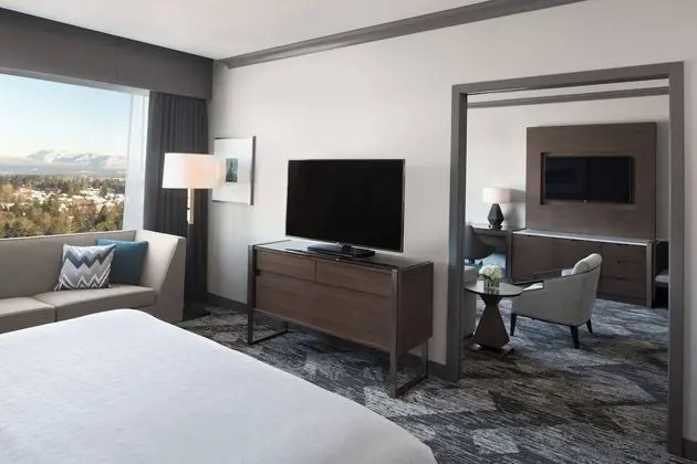 Çatı Katı Süiti (Penthouse), 1 En Büyük (King) Boy Yatak ve Çekyat