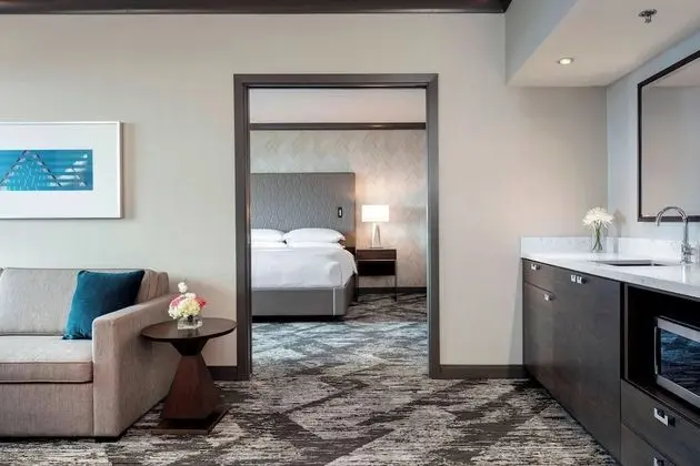 Çatı Katı Süiti (Penthouse), 1 En Büyük (King) Boy Yatak ve Çekyat