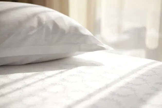 Deluxe İki Ayrı Yataklı Oda, 2 Çift Kişilik Yatak, Şehir Manzaralı
