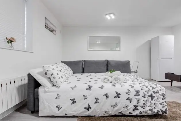 Classic Apart Daire, 1 En Büyük (King) Boy Yatak ve Çekyat, Şehir Manzaralı