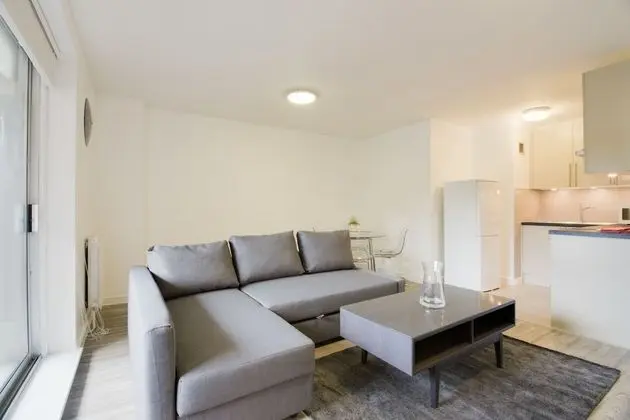 Superior Apart Daire, 1 En Büyük (King) Boy Yatak ve Çekyat, Engellilere Uygun, Şehir Manzaralı