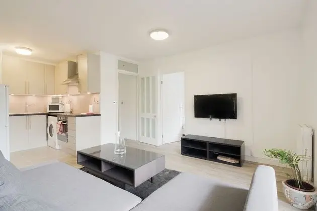 Superior Apart Daire, 1 En Büyük (King) Boy Yatak ve Çekyat, Engellilere Uygun, Şehir Manzaralı