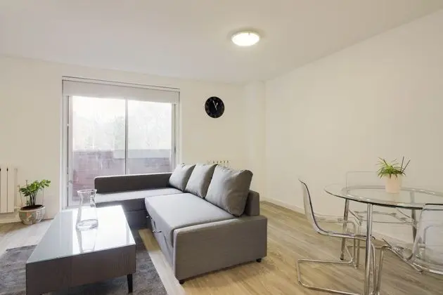 Superior Apart Daire, 1 En Büyük (King) Boy Yatak ve Çekyat, Engellilere Uygun, Şehir Manzaralı