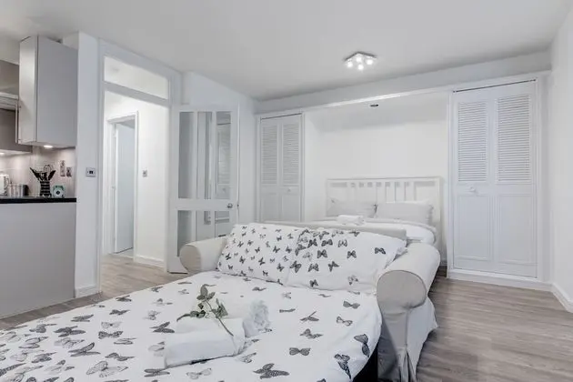 Superior Stüdyo, 1 En Büyük (King) Boy Yatak ve Çekyat, Engellilere Uygun, Şehir Manzaralı