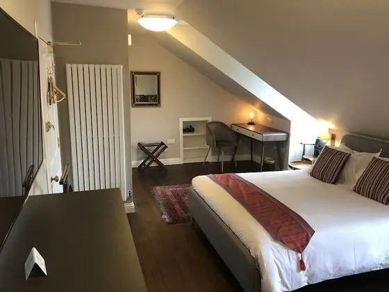 Deluxe Tek Büyük Yataklı Oda, Banyolu/Duşlu, Şehir Manzaralı (7)