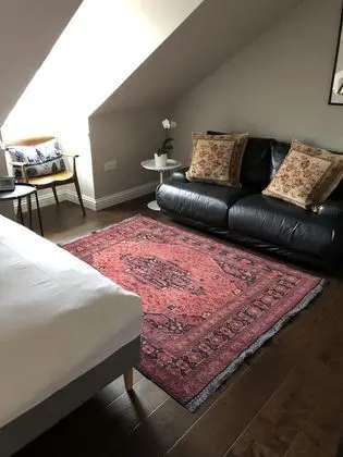 Deluxe Tek Büyük Yataklı Oda, Banyolu/Duşlu, Şehir Manzaralı (7)