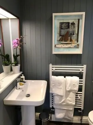 Deluxe Tek Büyük Yataklı Oda, Banyolu/Duşlu, Şehir Manzaralı (7)