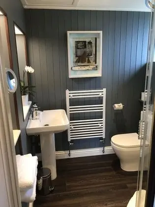 Deluxe Tek Büyük Yataklı Oda, Banyolu/Duşlu, Şehir Manzaralı (7)