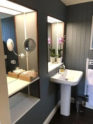 Deluxe Tek Büyük Yataklı Oda, Banyolu/Duşlu, Şehir Manzaralı (7)