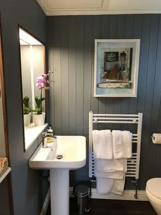Deluxe Tek Büyük Yataklı Oda, Banyolu/Duşlu, Şehir Manzaralı (7)