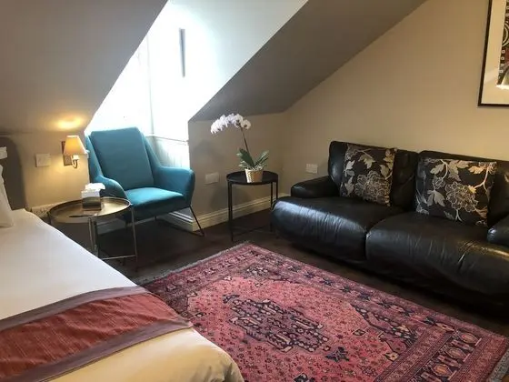 Deluxe Tek Büyük Yataklı Oda, Banyolu/Duşlu, Şehir Manzaralı (7)