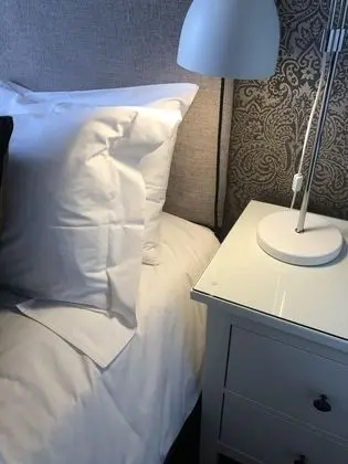 Standard Tek Büyük Yataklı Oda, Banyolu/Duşlu, Bahçe Manzaralı (2)
