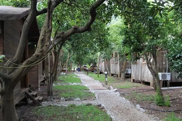Bungalow
