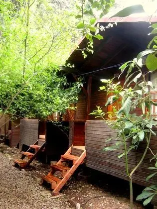 Bungalow