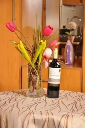 Apart Daire, 1 Çift Kişilik Yatak, Sigara İçilmez