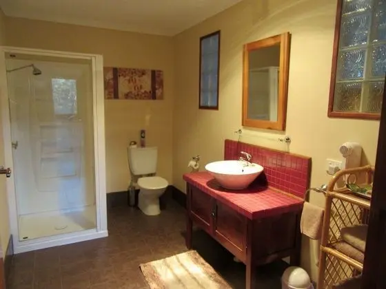 Standard Apart Daire, 1 Yatak Odası, Küçük Mutfak (Spa Apartment)