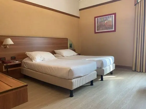 Superior Tek Büyük veya İki Ayrı Yataklı Oda