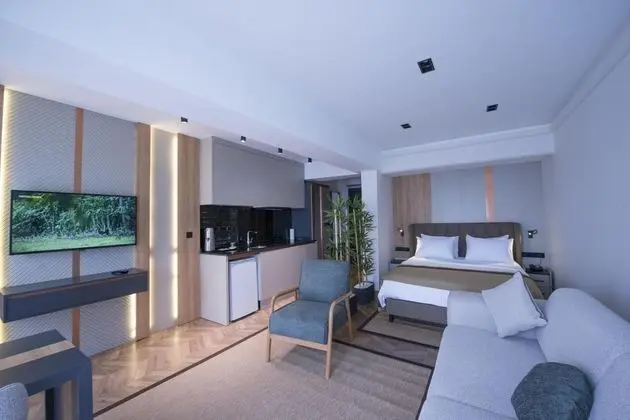 Executive Suite, Şehir Manzaralı, Büyük Yataklı