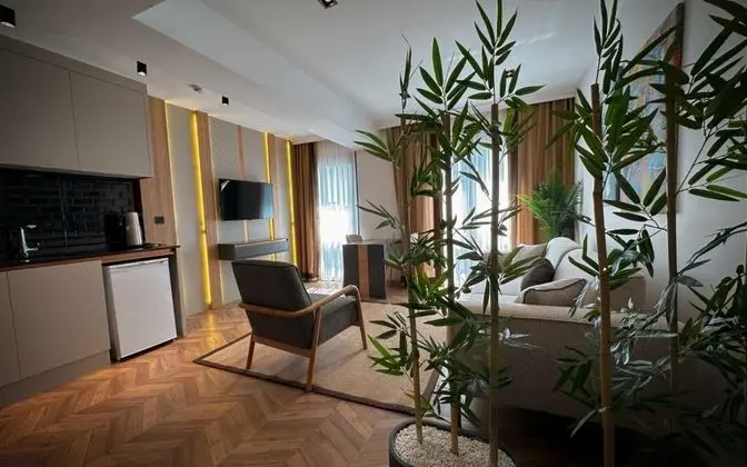 Executive Suite, Şehir Manzaralı, Büyük Yataklı