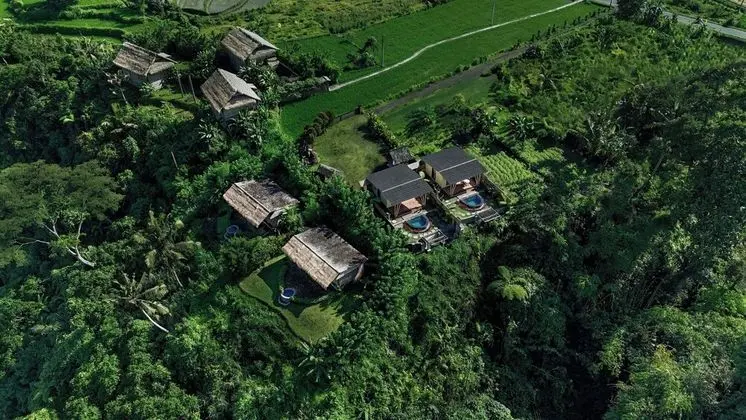 Oda