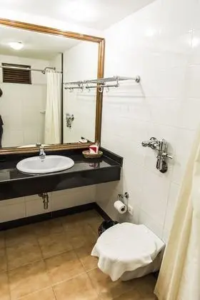 Standard Tek Büyük Yataklı Oda, 1 En Büyük (King) Boy Yatak, Sigara İçilmez, Bahçe Manzaralı