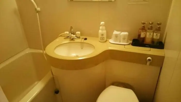 Traditional Oda, Özel Banyo, Göl Manzaralı (Main Building, Dinner at Restaurant)