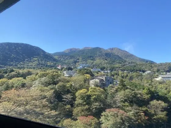 Superior Oda (Japanese Style)