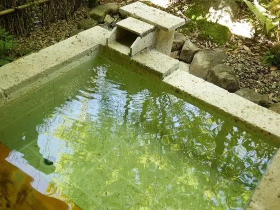 Traditional Oda, Özel Banyo (JPNStyle,SESERAGI,KODAMA,OpenairBathA)