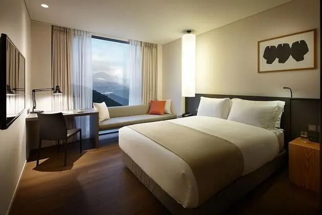 Deluxe Tek Büyük Yataklı Oda (High Floor)