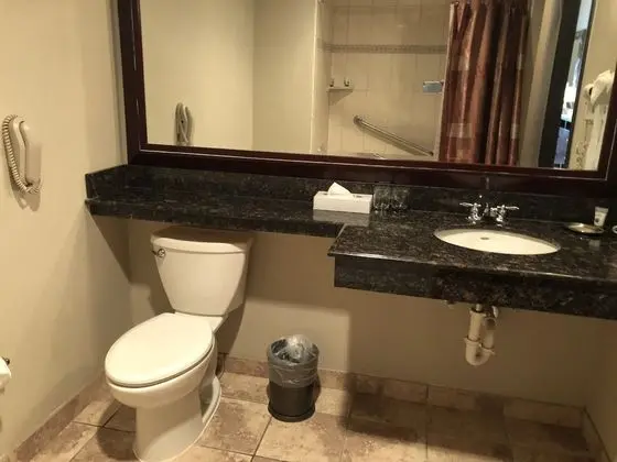 Presidential Suite, 1 King Bed with Sleeper Sofa