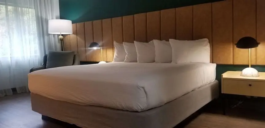 Standard Oda, 1 En Büyük (King) Boy Yatak, Sigara İçilmez, Balkon