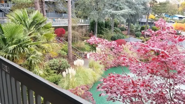 Süit, 1 En Büyük (King) Boy Yatak, Sigara İçilmez, Balkon