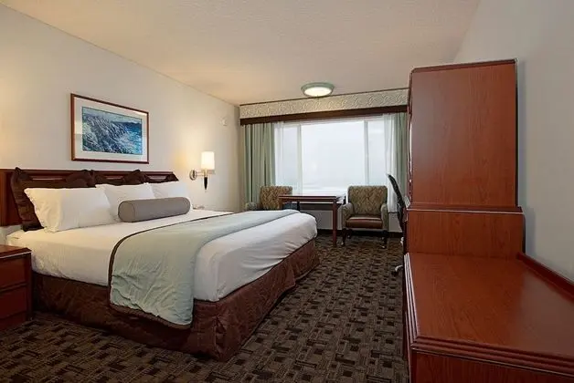 Deluxe King Room, No Pets