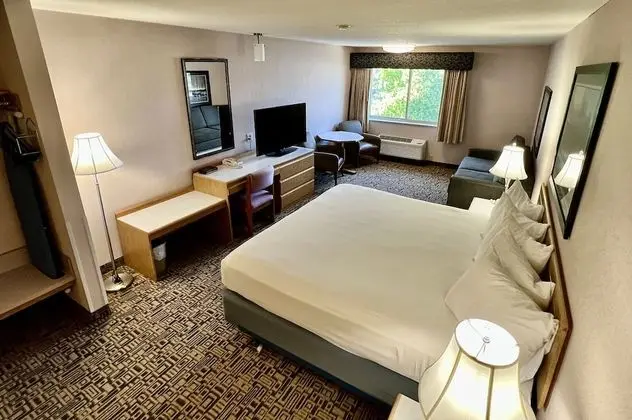 Süit, 1 En Büyük (King) Boy Yatak ve Çekyat, Sigara İçilmez