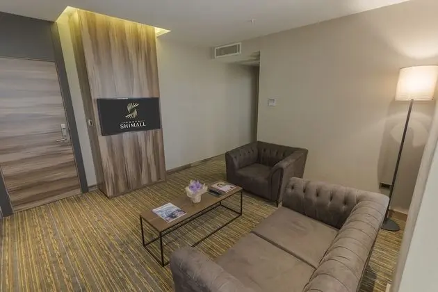 Junior Süit, 1 En Büyük (King) Boy Yatak, Şehir Manzaralı