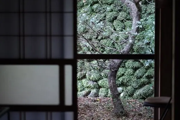 Comfort İki Ayrı Yataklı Oda, Sigara İçilmez