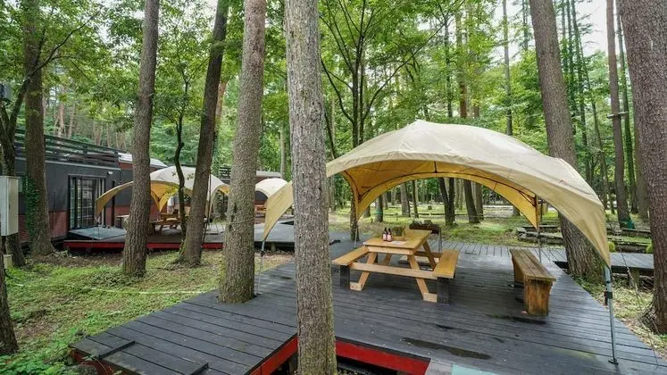 Karavan, Sigara İçilmez (Journey, Up to 4 People)