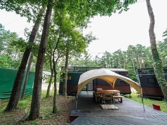 Karavan, Sigara İçilmez (Journey, Up to 4 People)