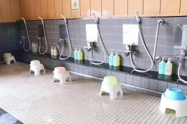 Economy Tek Kişilik Oda, Sigara İçilmez (Western Style with Toilet)