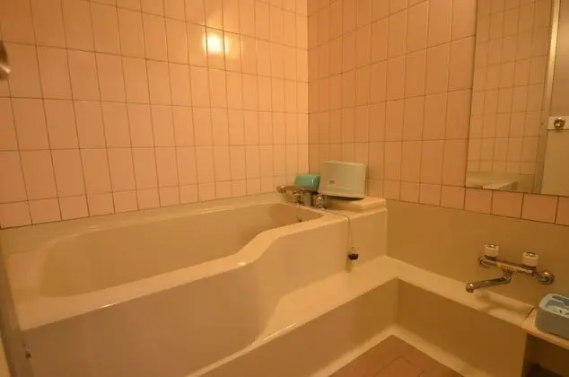 Traditional Üç Kişilik Oda, Dağ Manzaralı (Japanese Style, Hot Spring)