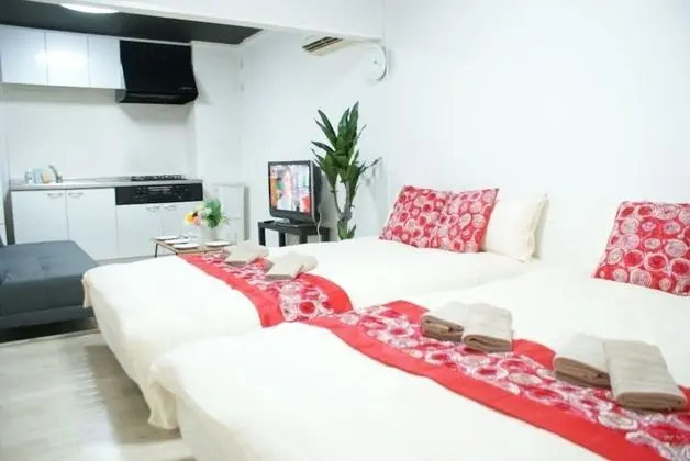 Basic Apart Daire, Sigara İçilmez (SHIN-OSAKA GRAND-H 202)