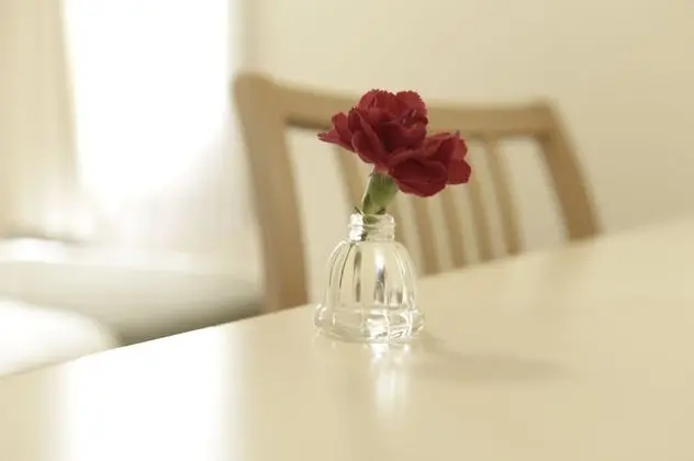 Standard Tek Kişilik Oda, Sigara İçilmez