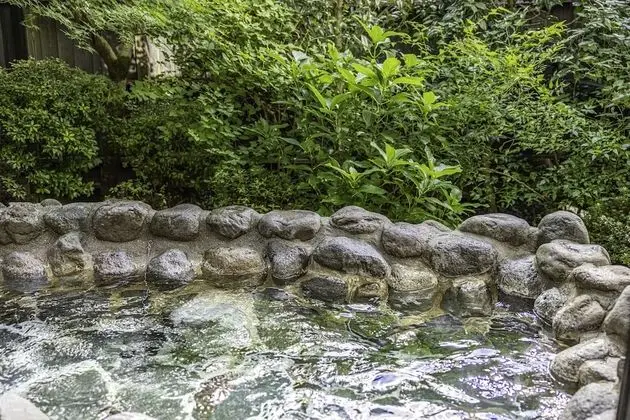 Traditional Oda, Sigara İçilmez, Ek Bina (with Private Open-air Bath)