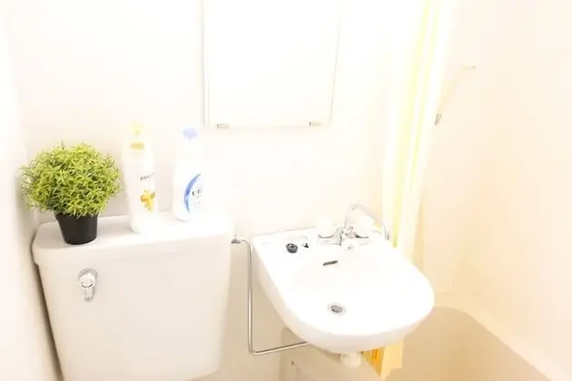 Deluxe Tek Büyük Yataklı Oda, Özel Banyo