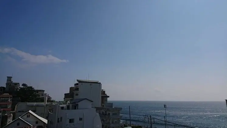 Tek Büyük Yataklı Oda, Birden Çok Yatak (Japanese Style)