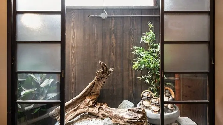 Traditional Sıra Ev (Japanese Style)