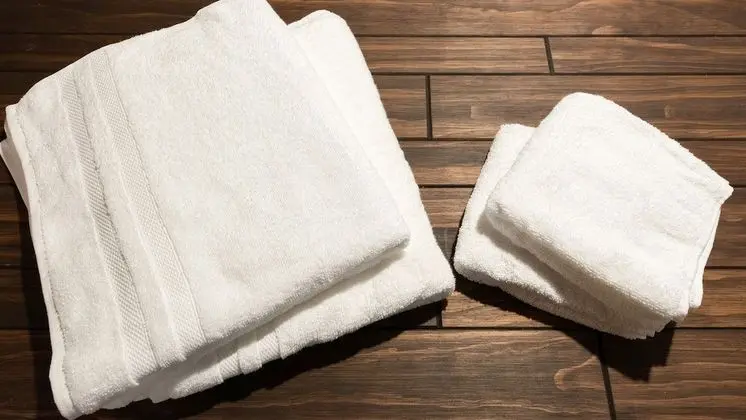 Traditional Sıra Ev (Japanese Style)
