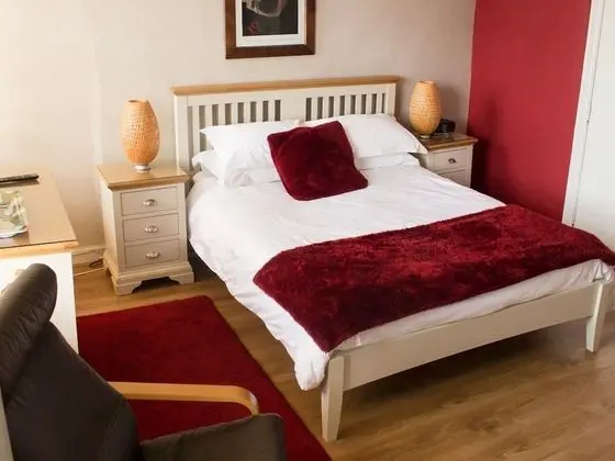 Tek Büyük Yataklı Oda, Banyolu/Duşlu (Room 6)