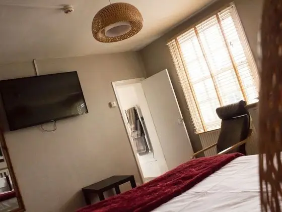 Tek Büyük Yataklı Oda, Banyolu/Duşlu (Room 6)